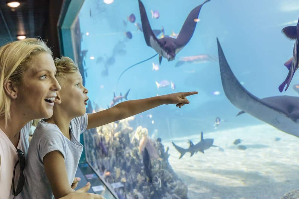 Sea World Resort