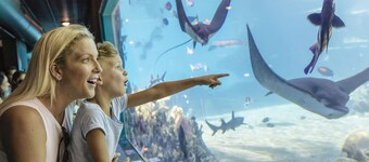 Sea World Resort