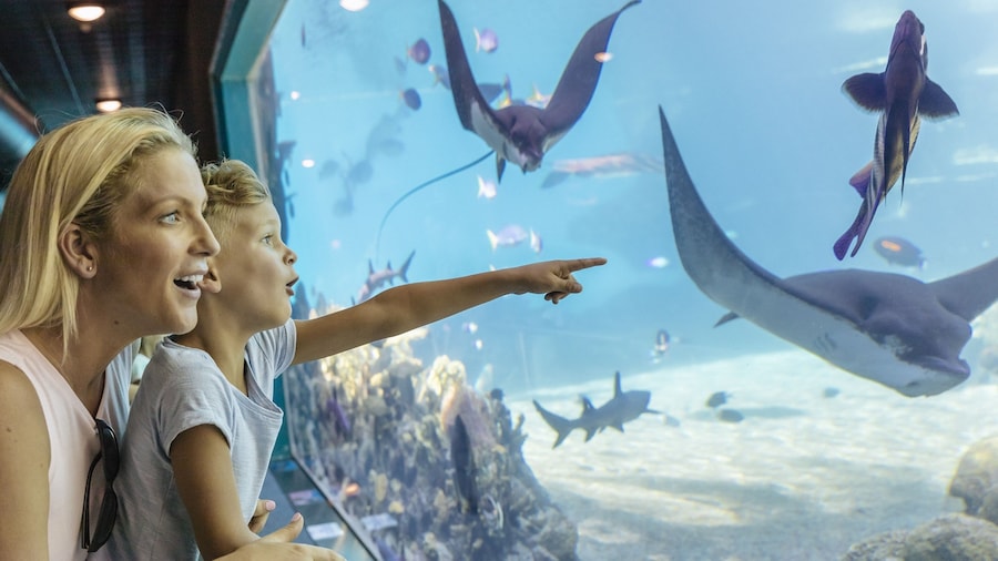 Sea World Resort