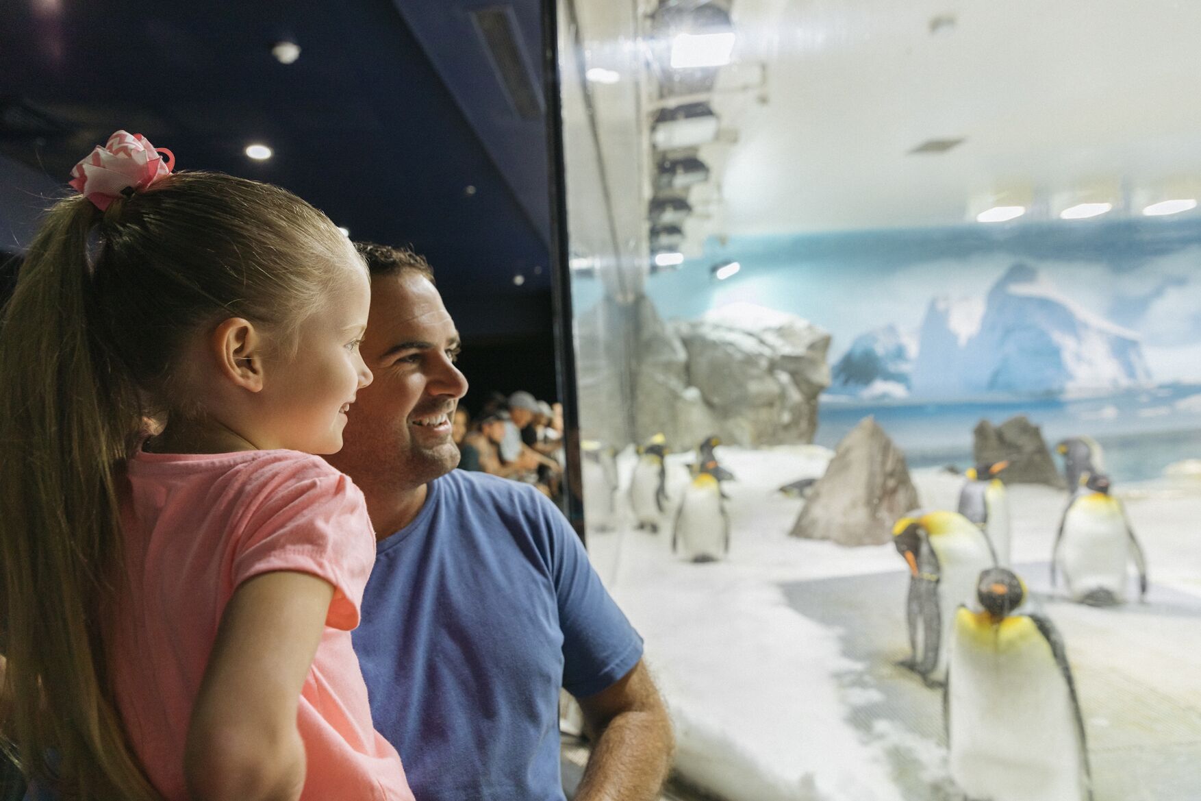 A man and a child observing penguins in an aquarium.
