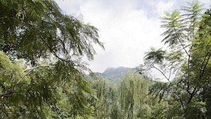 Exterior detail - Ananda in the Himalayas (Narendranagar)