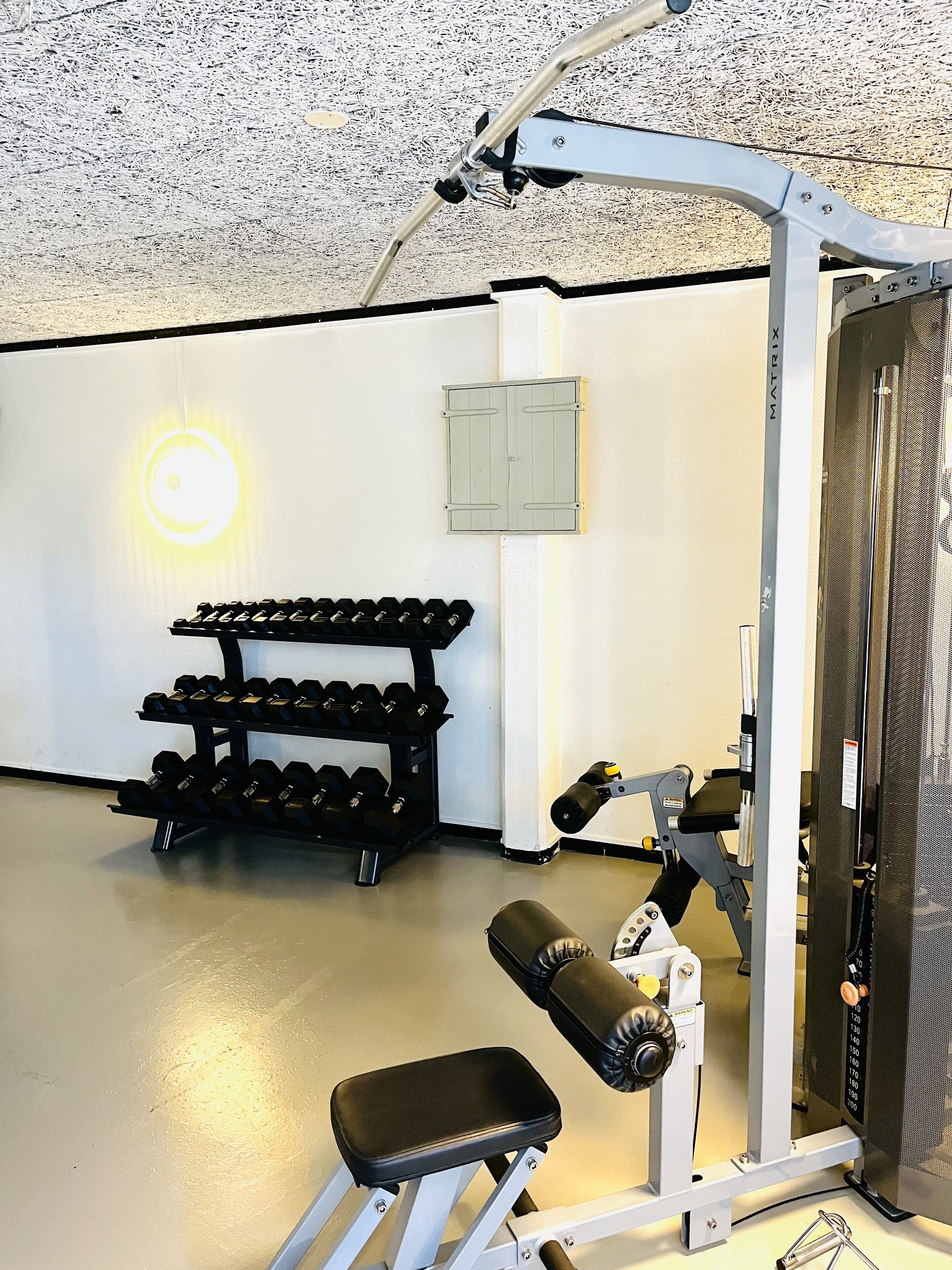 A gym with a squat rack, bench, and dumbbell rack.