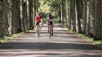 Dos ciclistas en un camino bordeado de árboles.