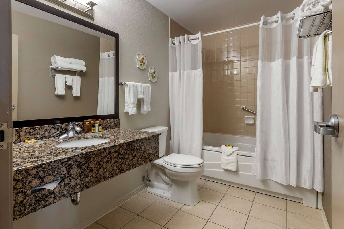 suite, 1 king bed, non smoking, jetted tub (with sofabed) | bathroom | combined shower/bathtub, free toiletries, hair dryer, towels