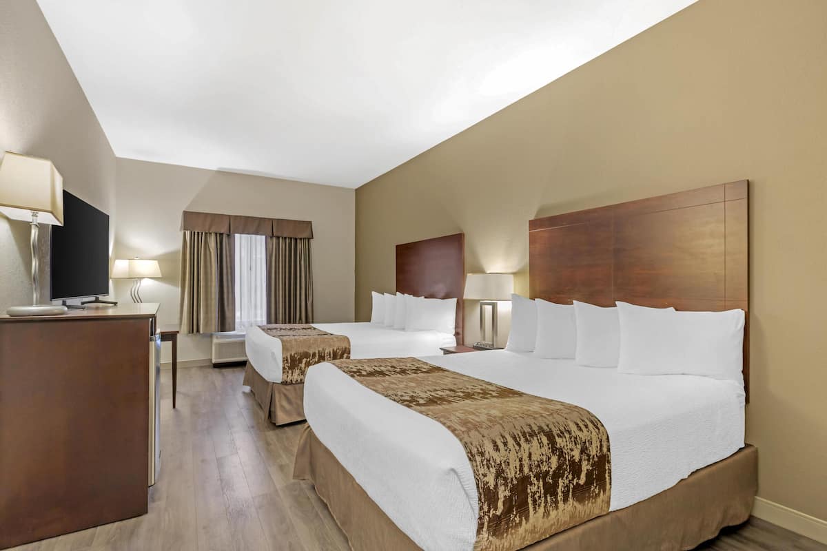 Hypo-allergenic bedding, laptop workspace, blackout curtains