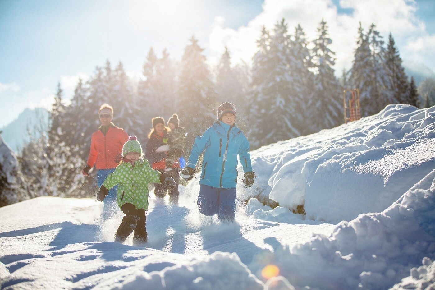 A group of people skiing on a snowy slope with trees in the background.