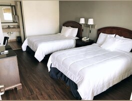 Escritorio, wifi gratis, ropa de cama y despertador