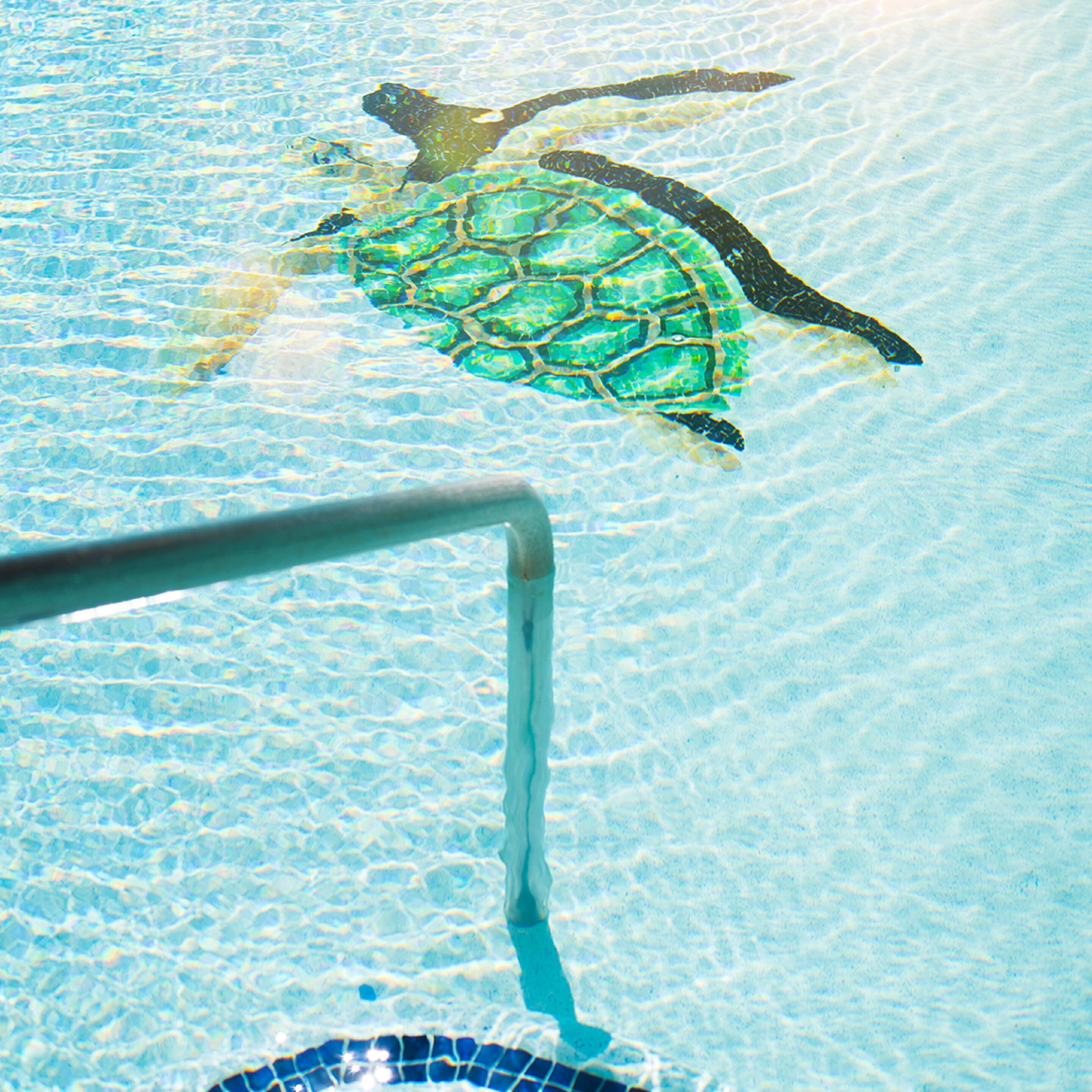 Una tortuga nada en una piscina cristalina con una escalera metálica.