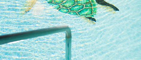 Una tortuga nada en una piscina cristalina con una escalera metálica.