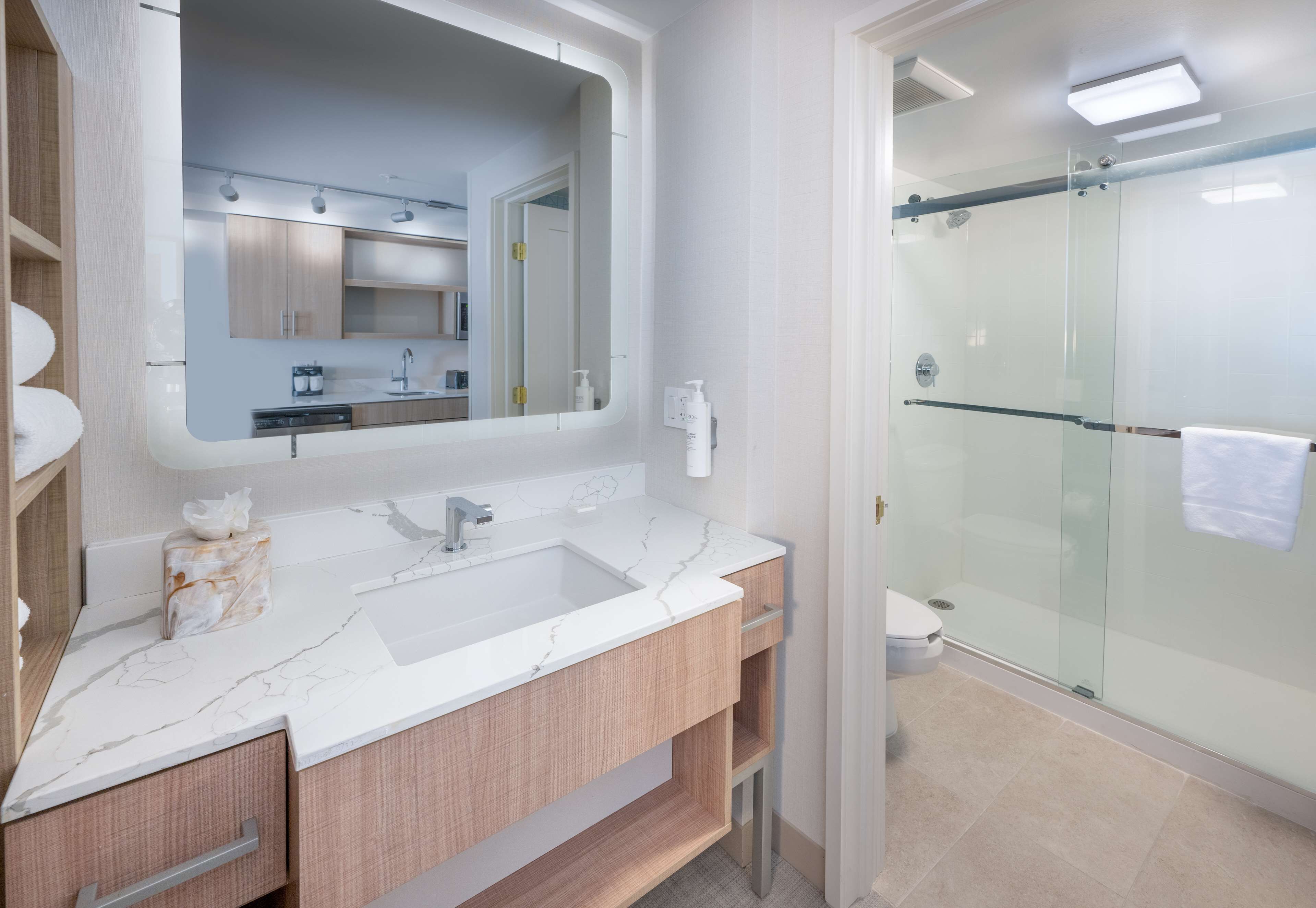 suite, 1 king bed (efficiency) | bathroom shower