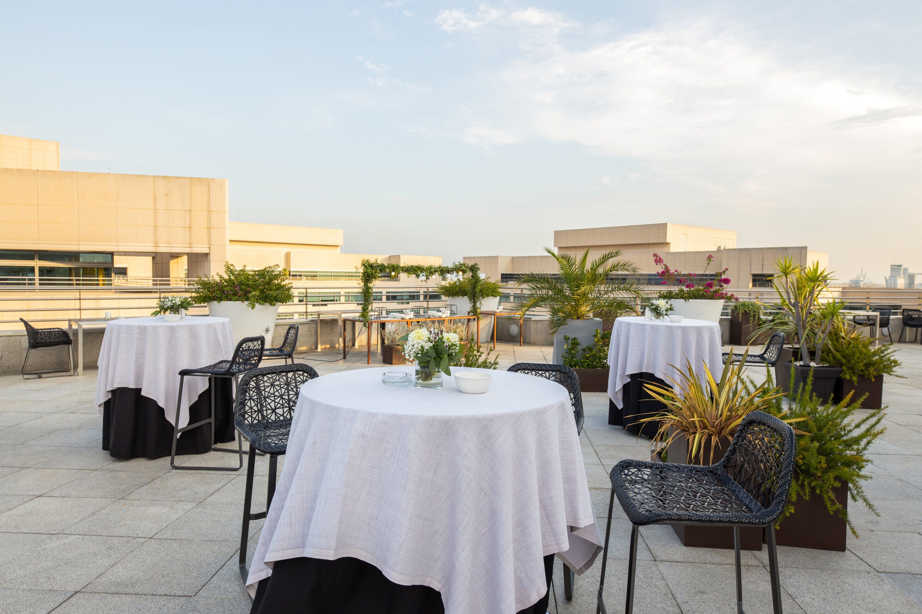 Una terraza en la azotea con mesas y sillas redondas, rodeada de plantas y flores en macetas.