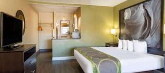 Super 8 by Wyndham Conference Center NAU/Downtown