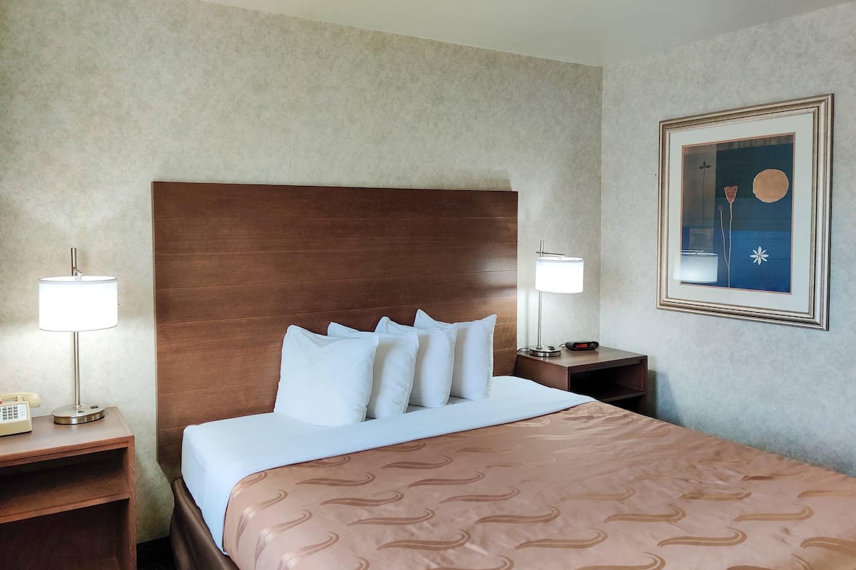 Standard Room, 1 King Bed, Non Smoking | Desk, blackout drapes, iron/ironing board, free WiFi