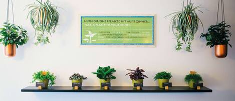 A wall with a sign encouraging to take a plant to your room, surrounded by various potted plants on shelves.