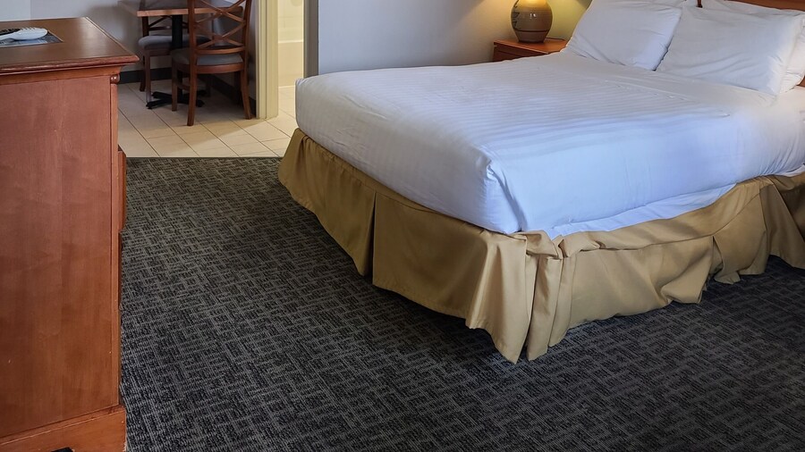 Tulip Inn