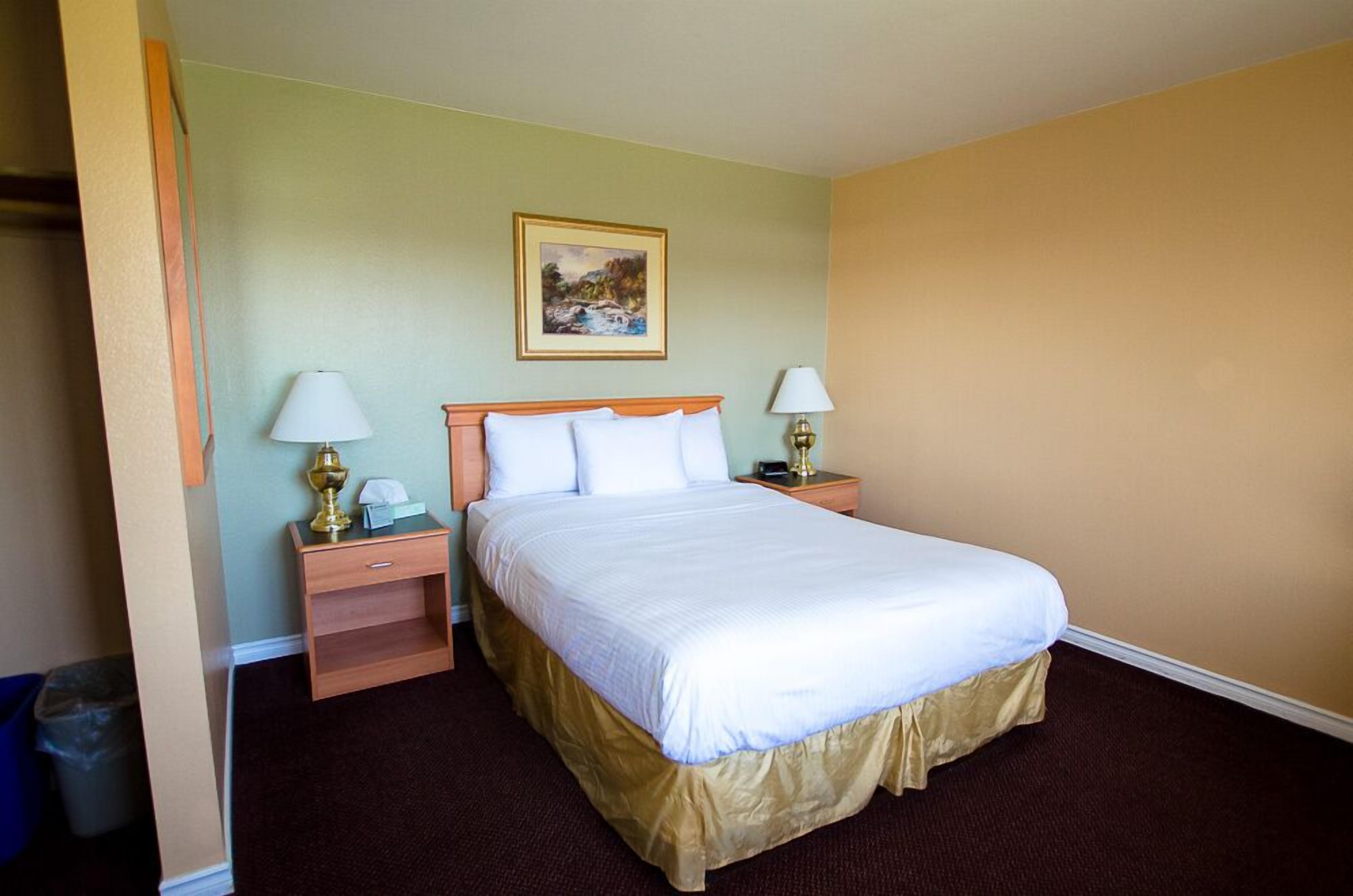 Habitación de hotel con cama, dos mesitas de noche, un cuadro en la pared y un cesto de basura.