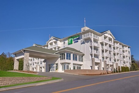 Holiday Inn Express and Suites Pigeon Forge Sevierville, an IHG Hotel - Image 18
