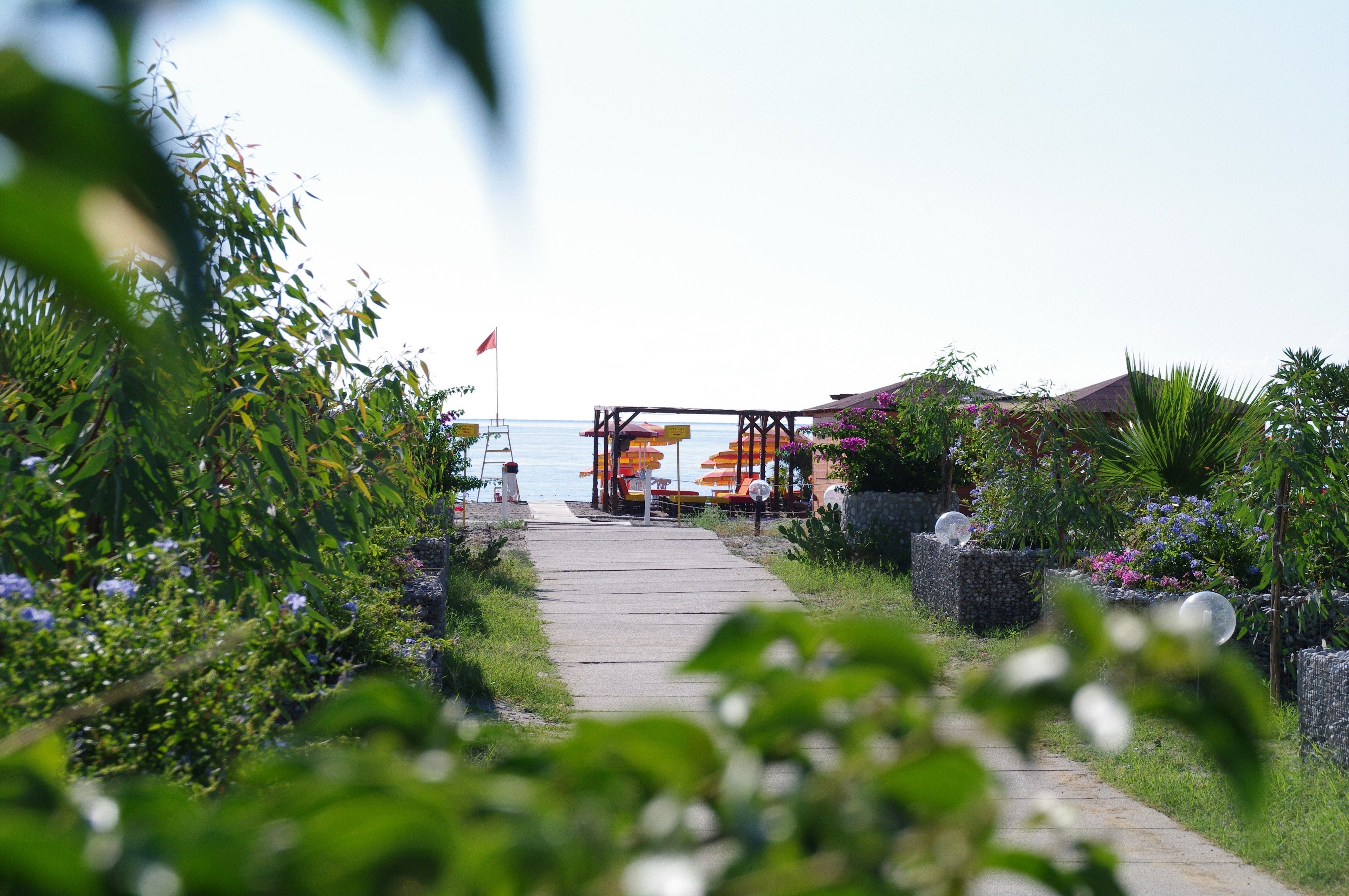 A pathway leading to a beach area with umbrellas and a gazebo.
