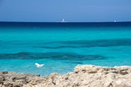 ๋ณดํธ ํ๊ธฐ