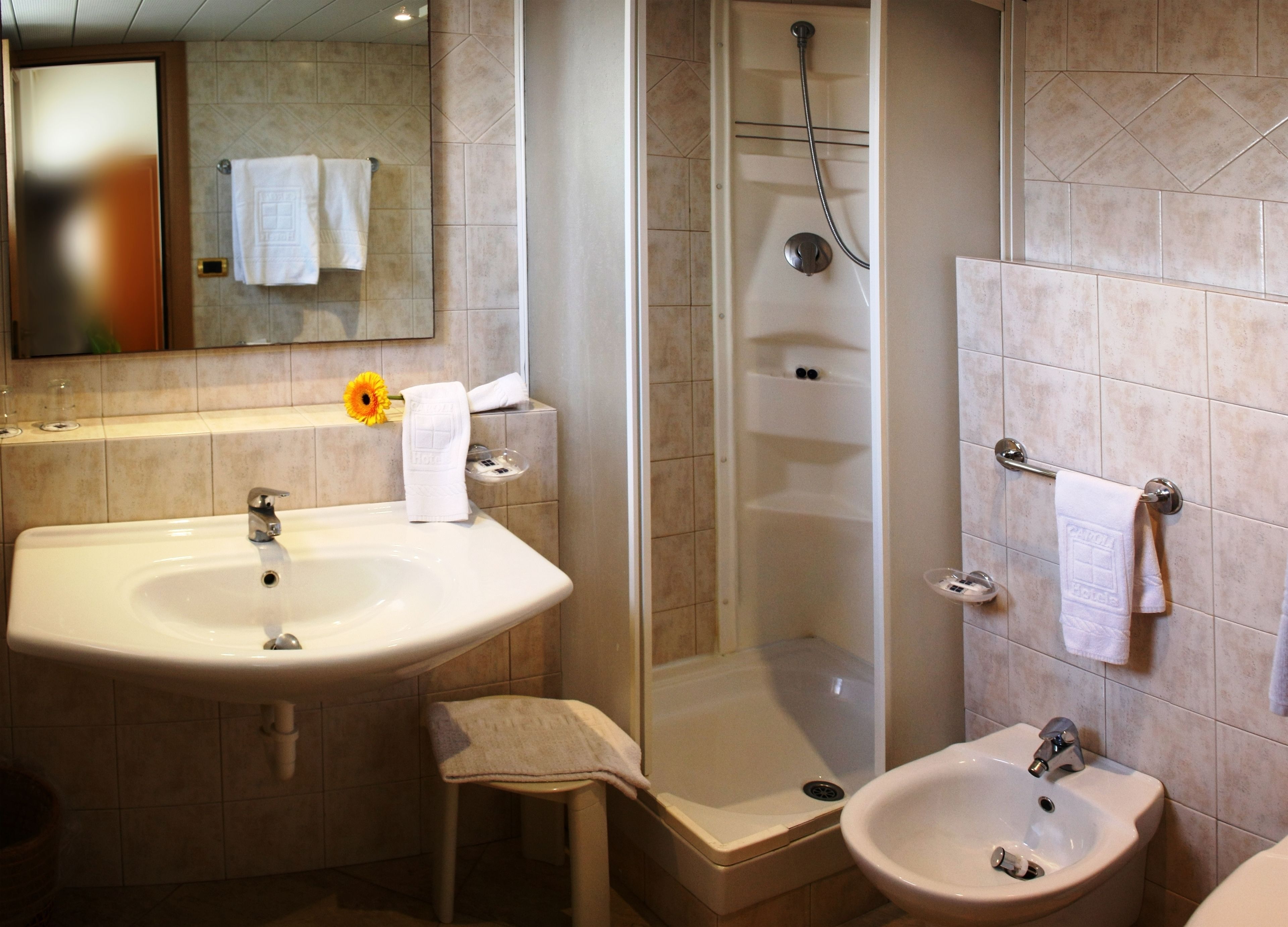 Un bagno con un lavandino grande, una doccia e un bidet.