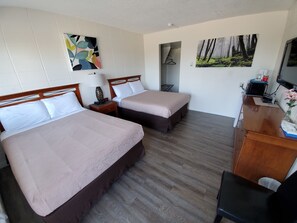 Habitación, 2 camas matrimoniales | Vista desde la habitación