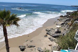 Suite, varias camas, frente al mar (Ocean Front Junior Suite 2 King Beds) | Vistas al mar