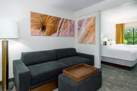 SpringHill Suites by Marriott Asheville - Image 20