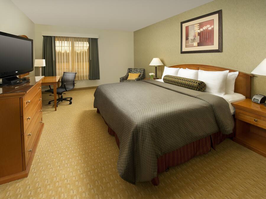 A hotel room with a large bed, a TV, a desk with a chair, and a window with curtains.