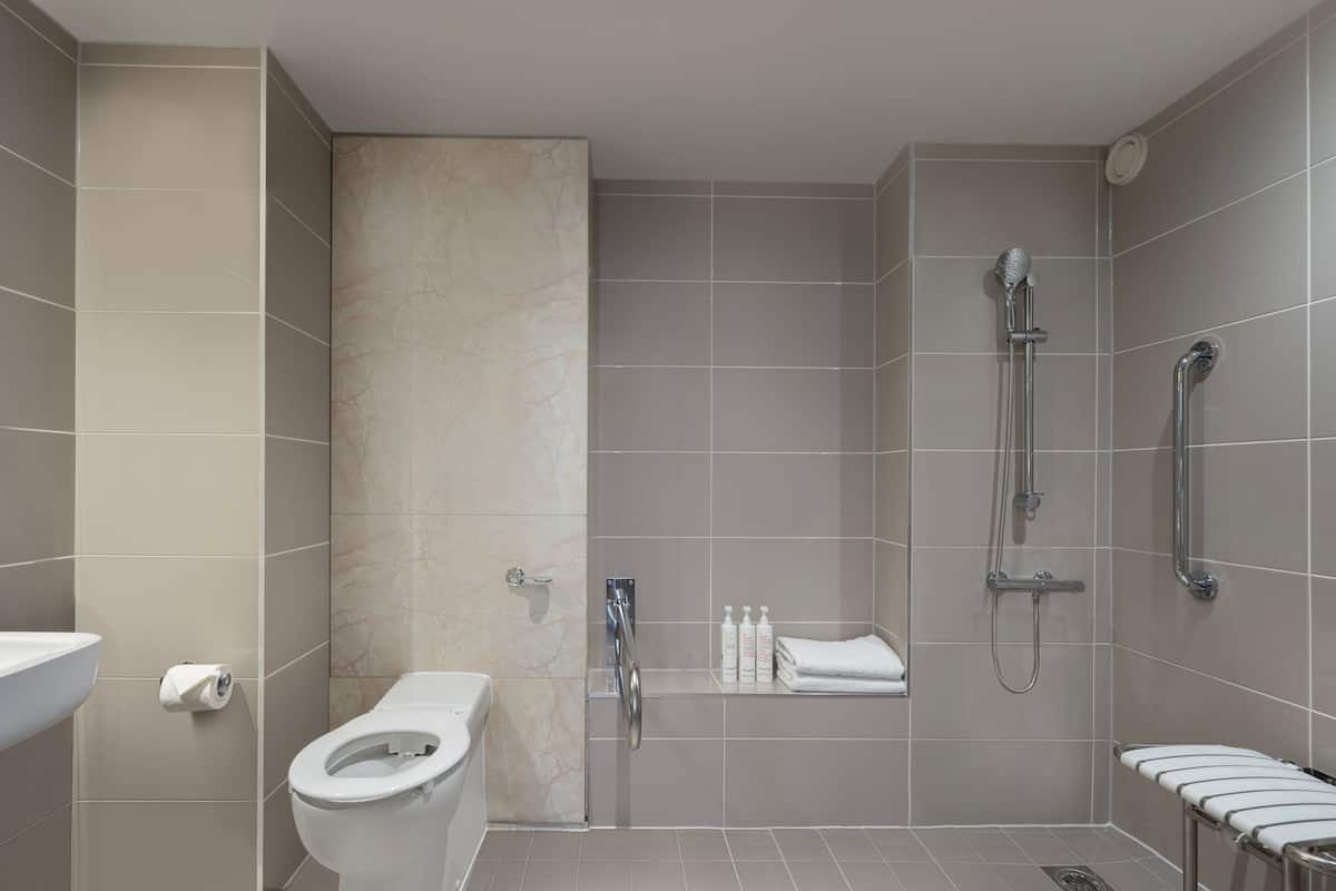 combined shower/bathtub, free toiletries, hair dryer, towels