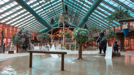 Westgate Smoky Mountain Resort Water Park - Image 17