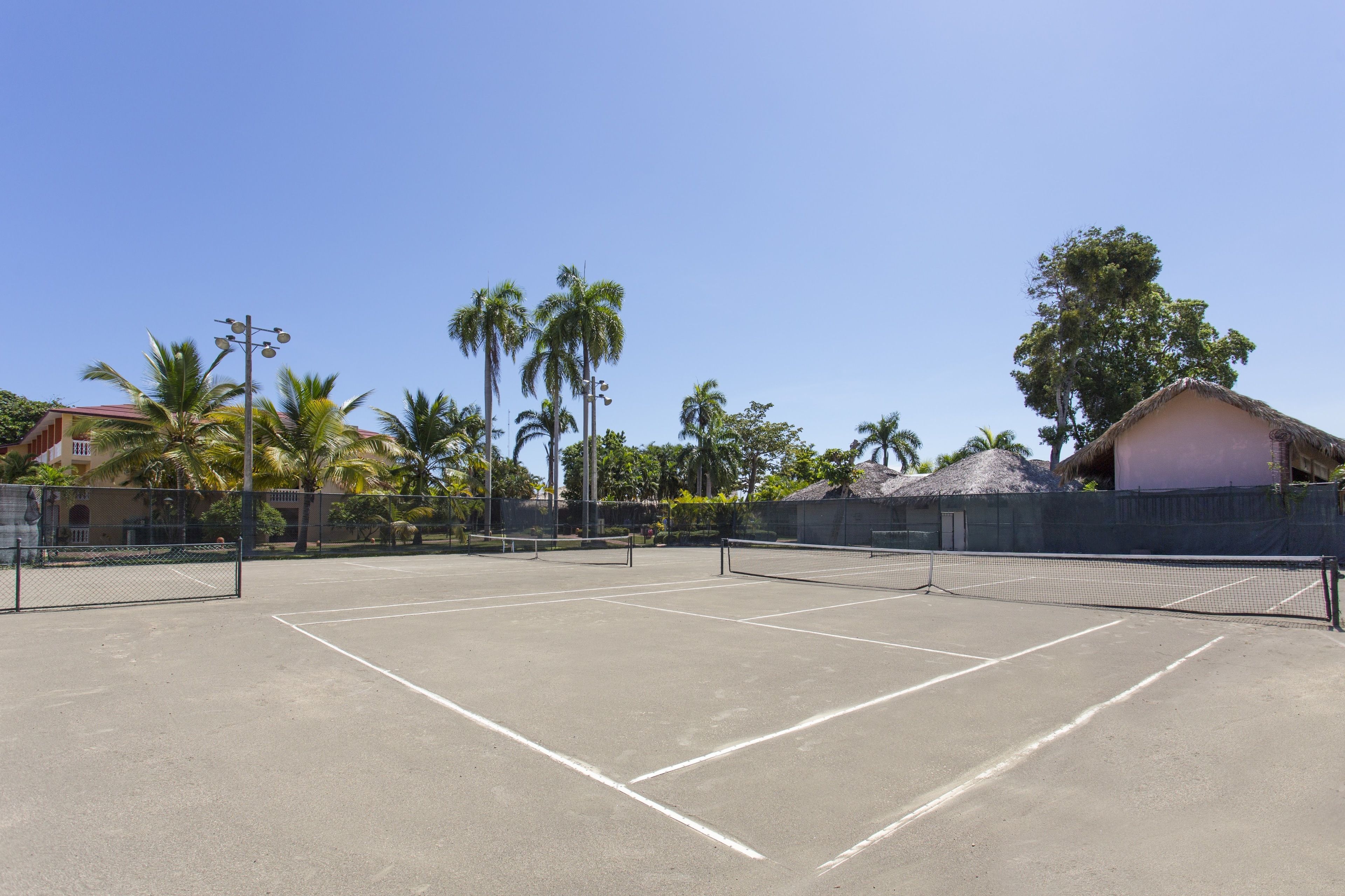 An outdoor tennis court with a net, surrounded by palm trees and a fence.