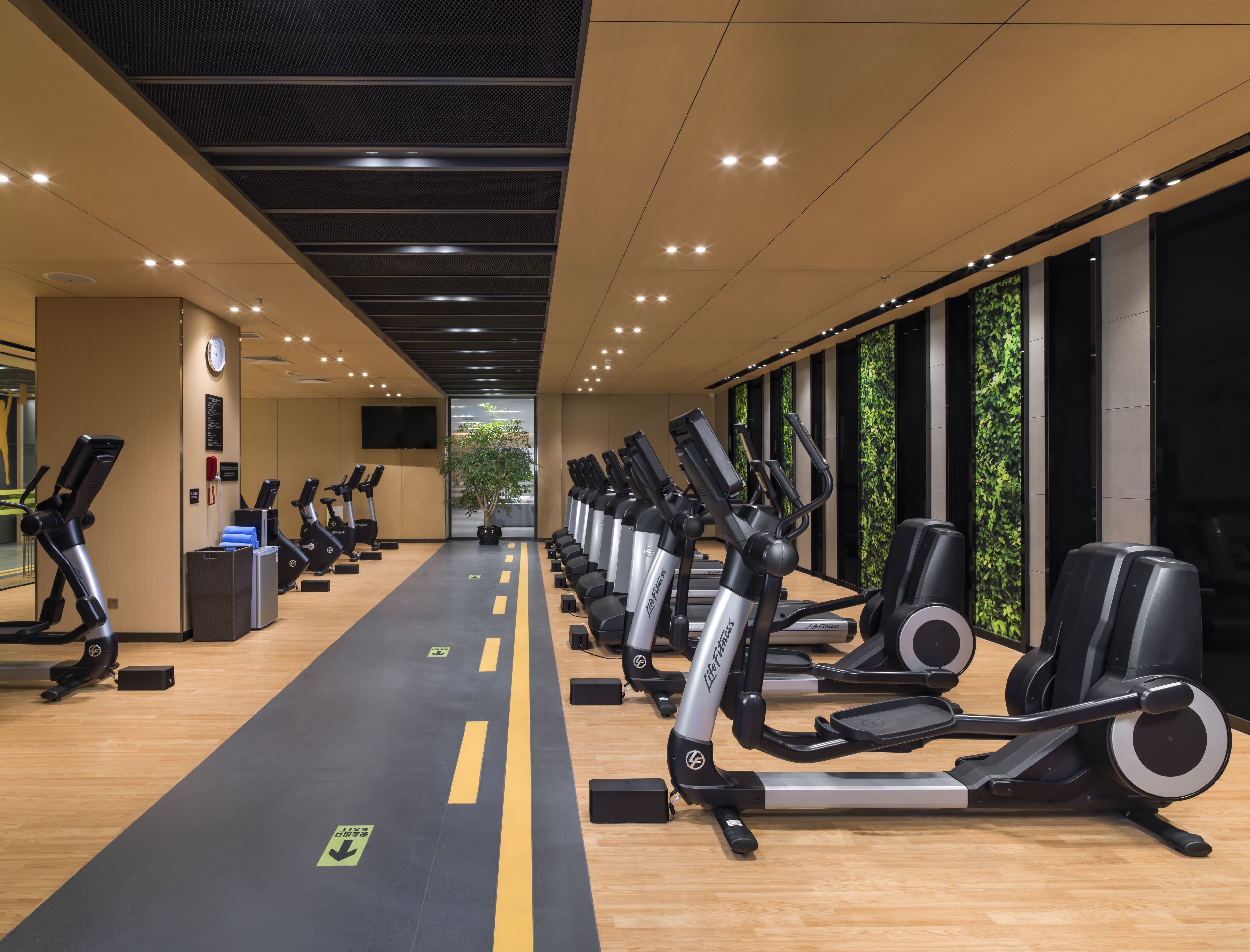 Un gimnasio con varias cintas de correr alineadas a lo largo de un camino central, un reloj en la pared y un ventanal con una pared verde.