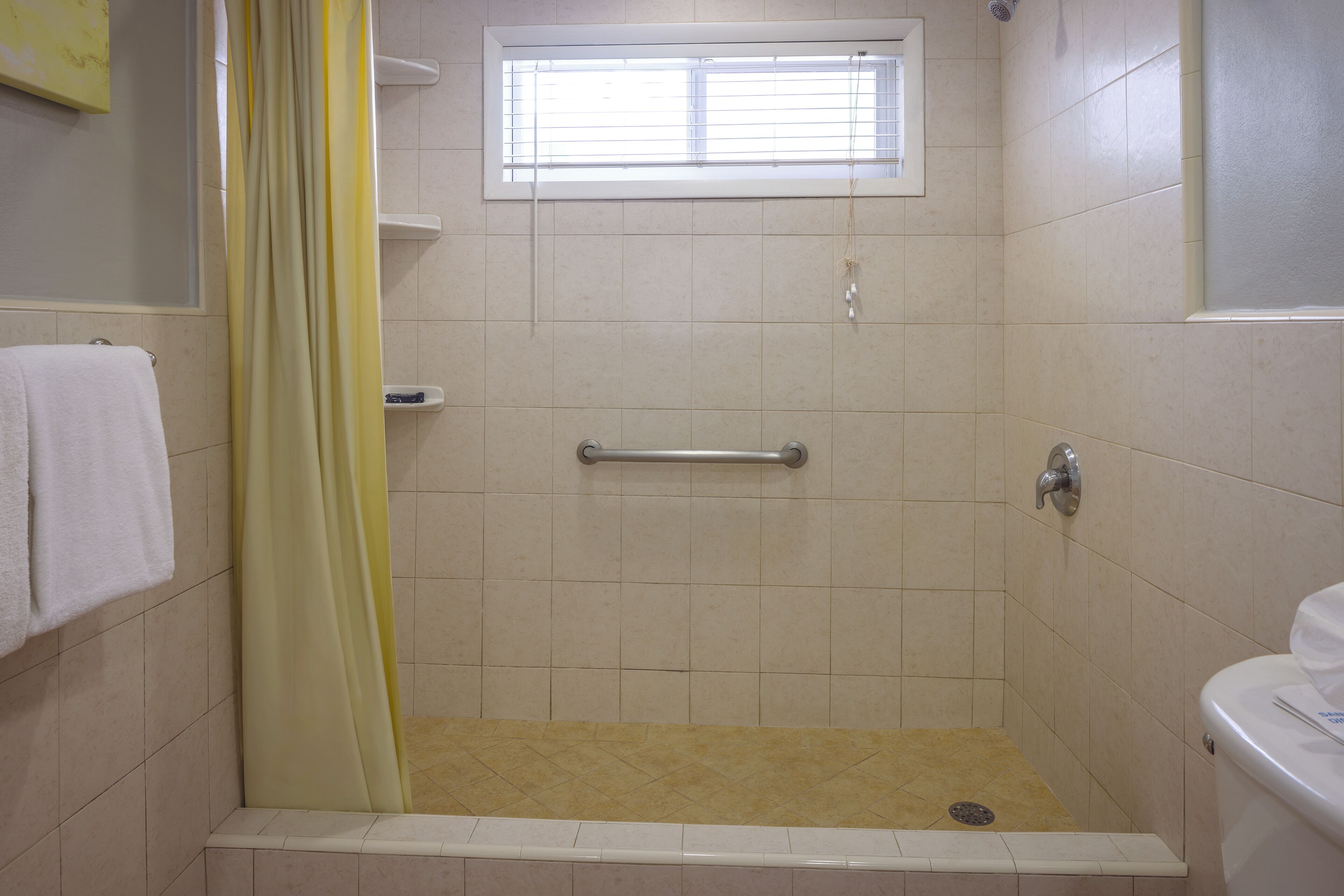 Un espace douche doté d’une fenêtre, d’un porte-serviettes et d’une barre d’appui.