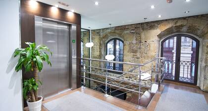 Petit Palace Arana