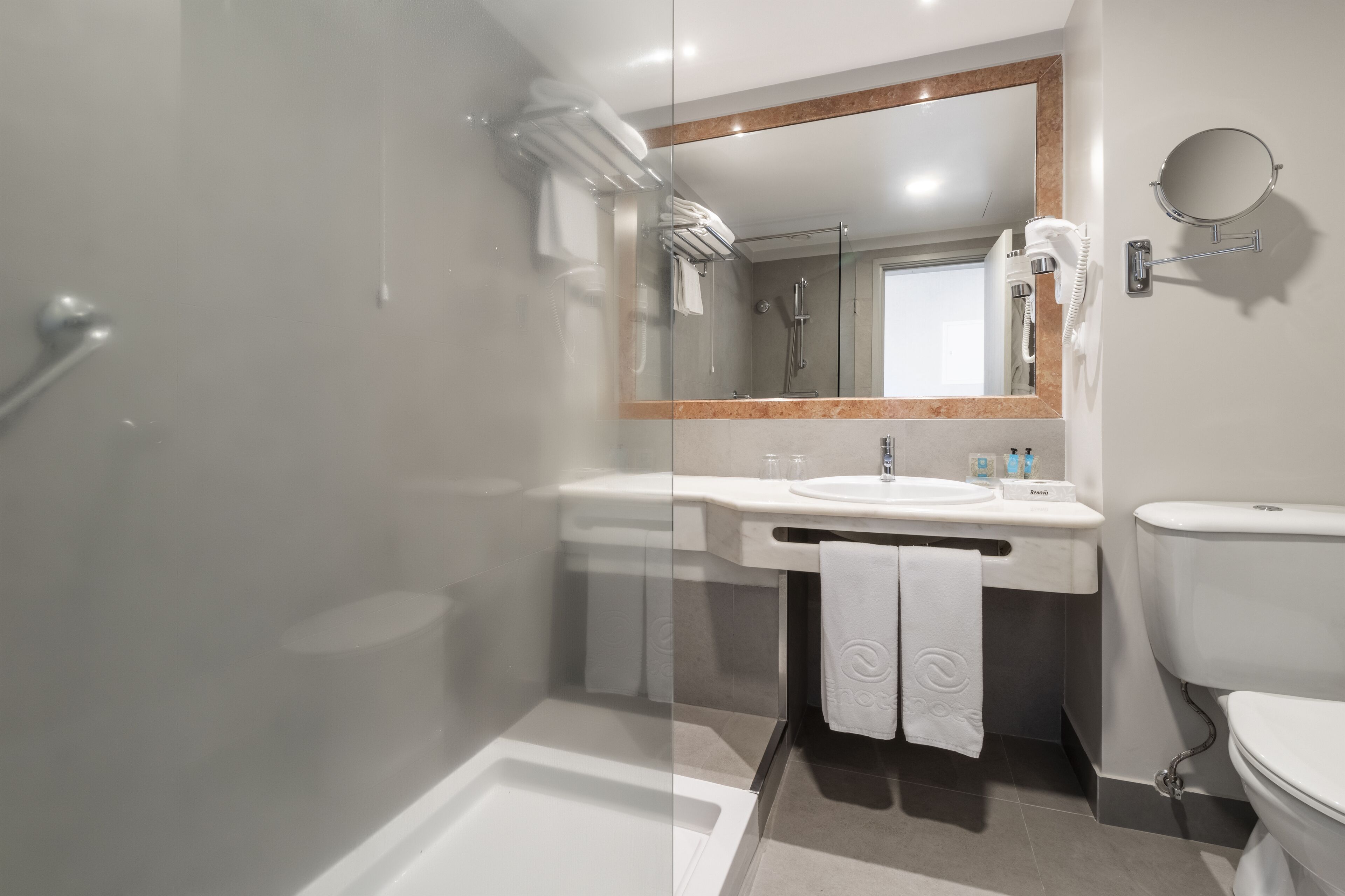 shower, hair dryer, bidet, towels