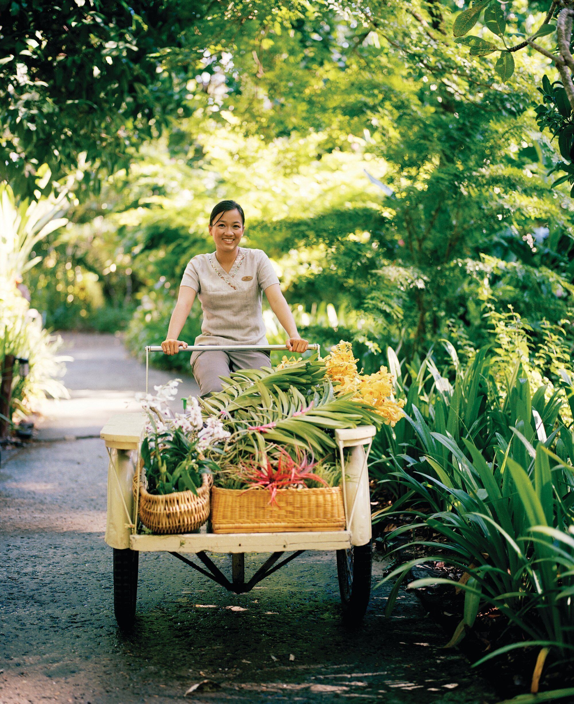 A person pushing a cart with flowers and plants.