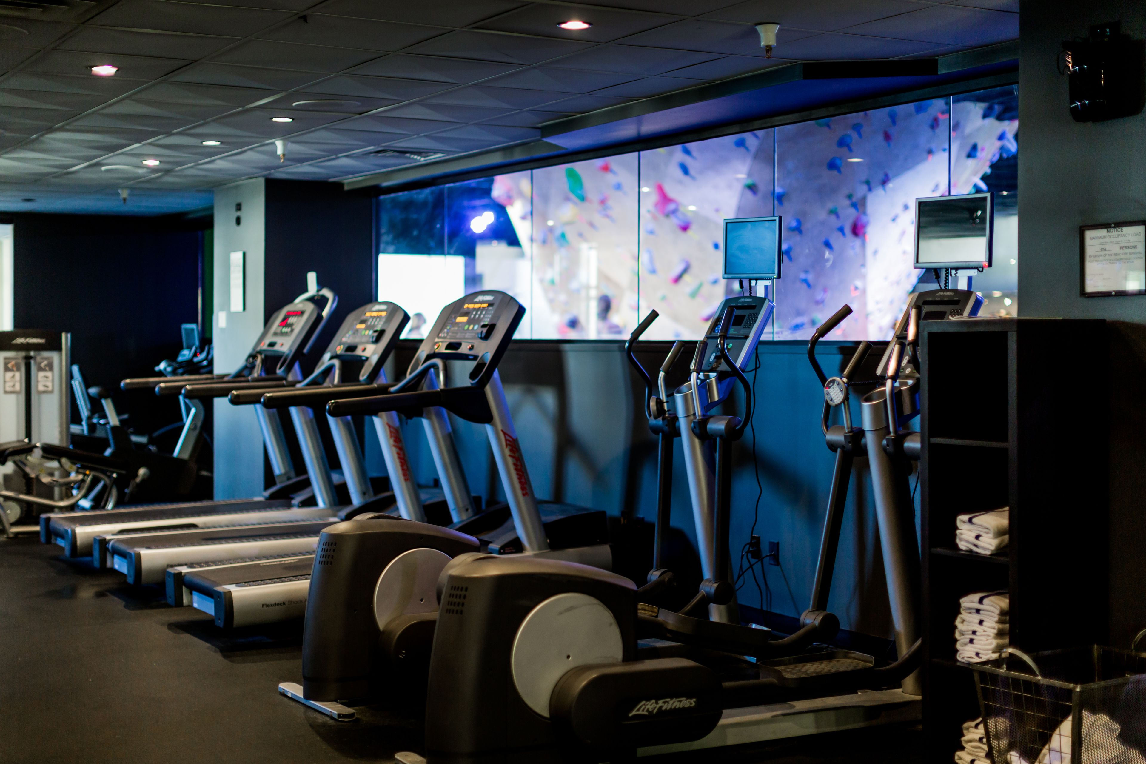 A gym with treadmills, ellipticals, and a wall with a climbing wall projection.