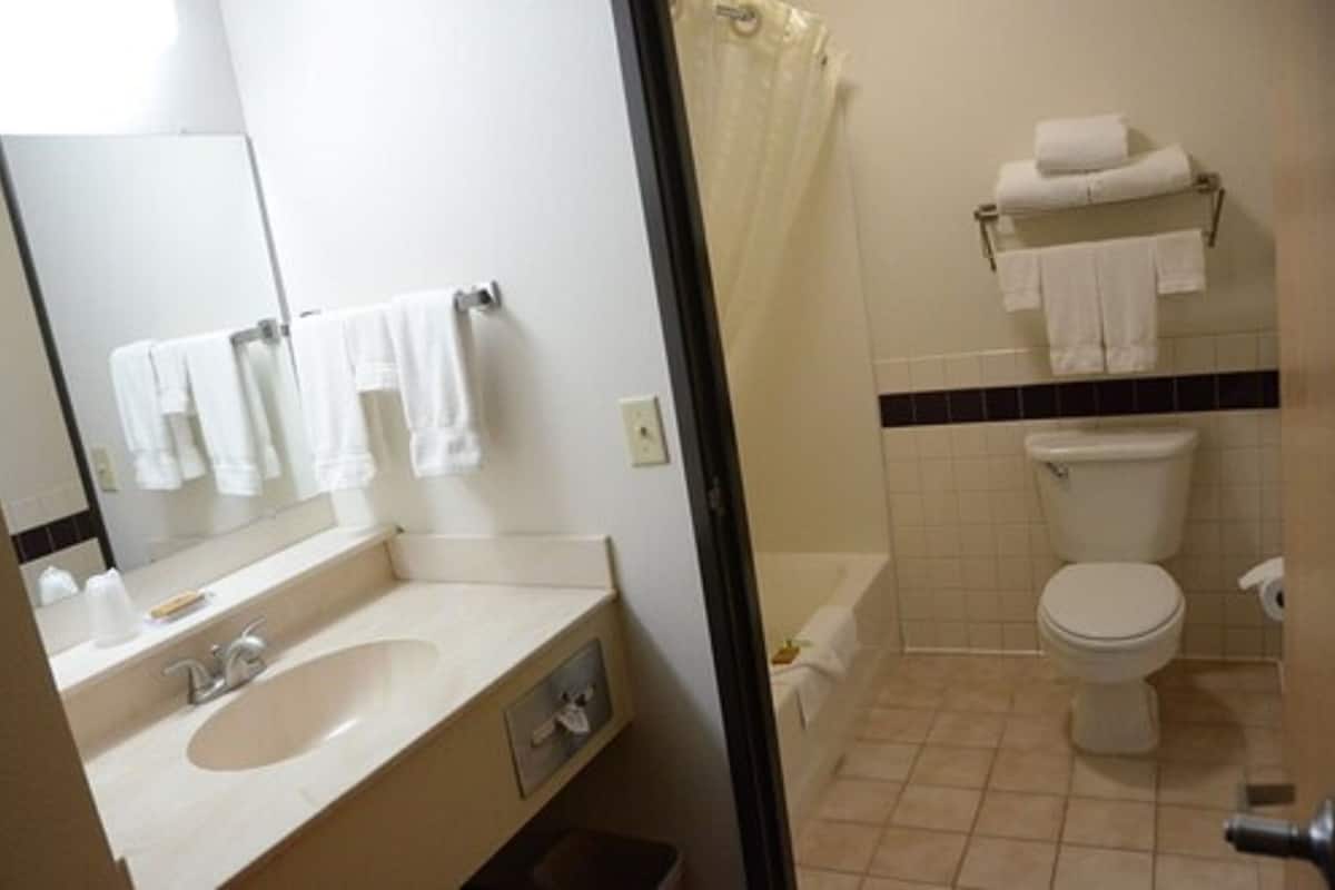 combined shower/bathtub, free toiletries, hair dryer, towels