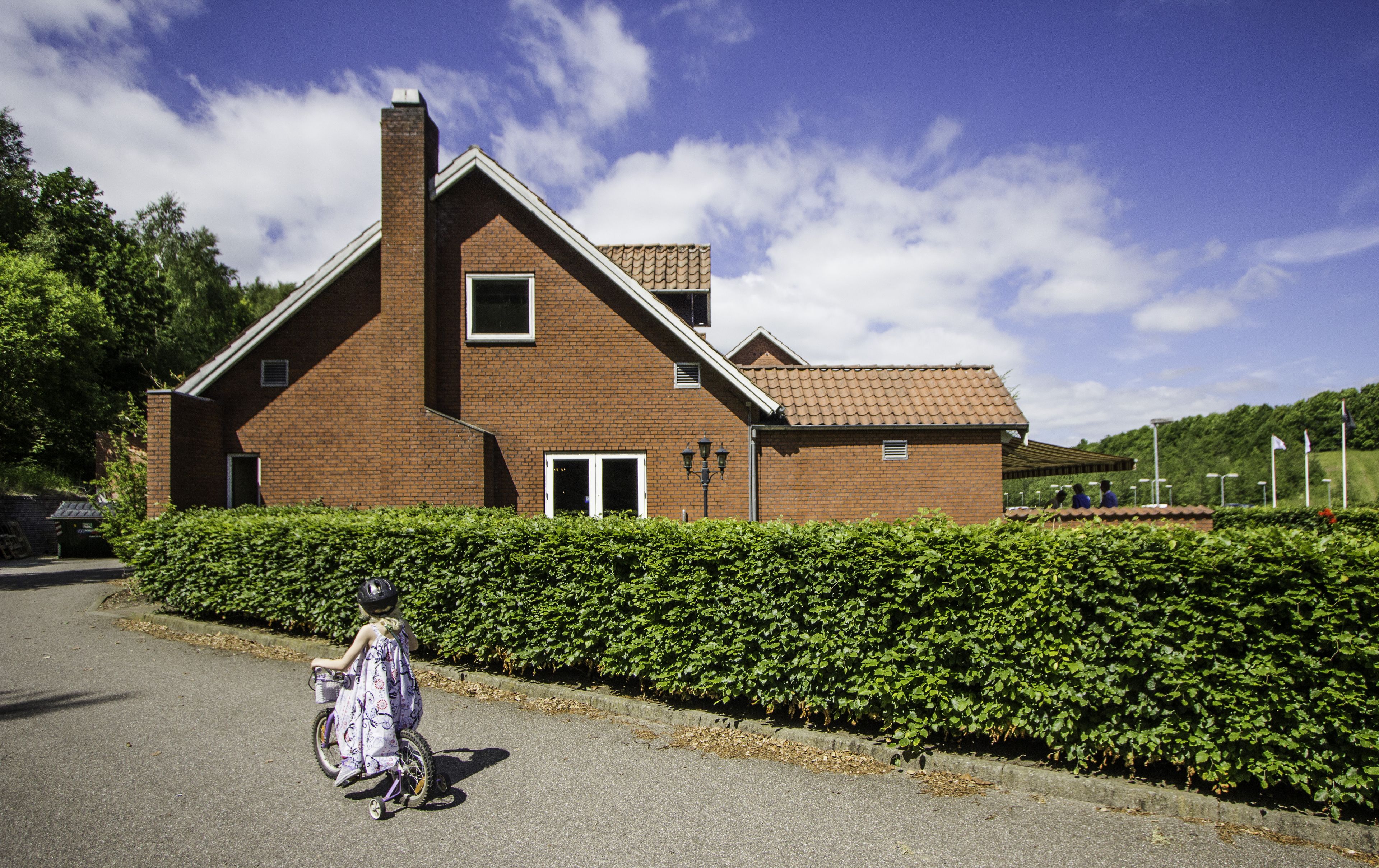 A brick house with a sloped roof, a chimney, and a hedge in front.