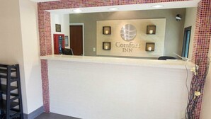 A reception area with a sign for Comfort Inn, a desk, a chair, and a decorative plant. - Comfort Inn Pittsburgh Crafton (Pittsburgh)