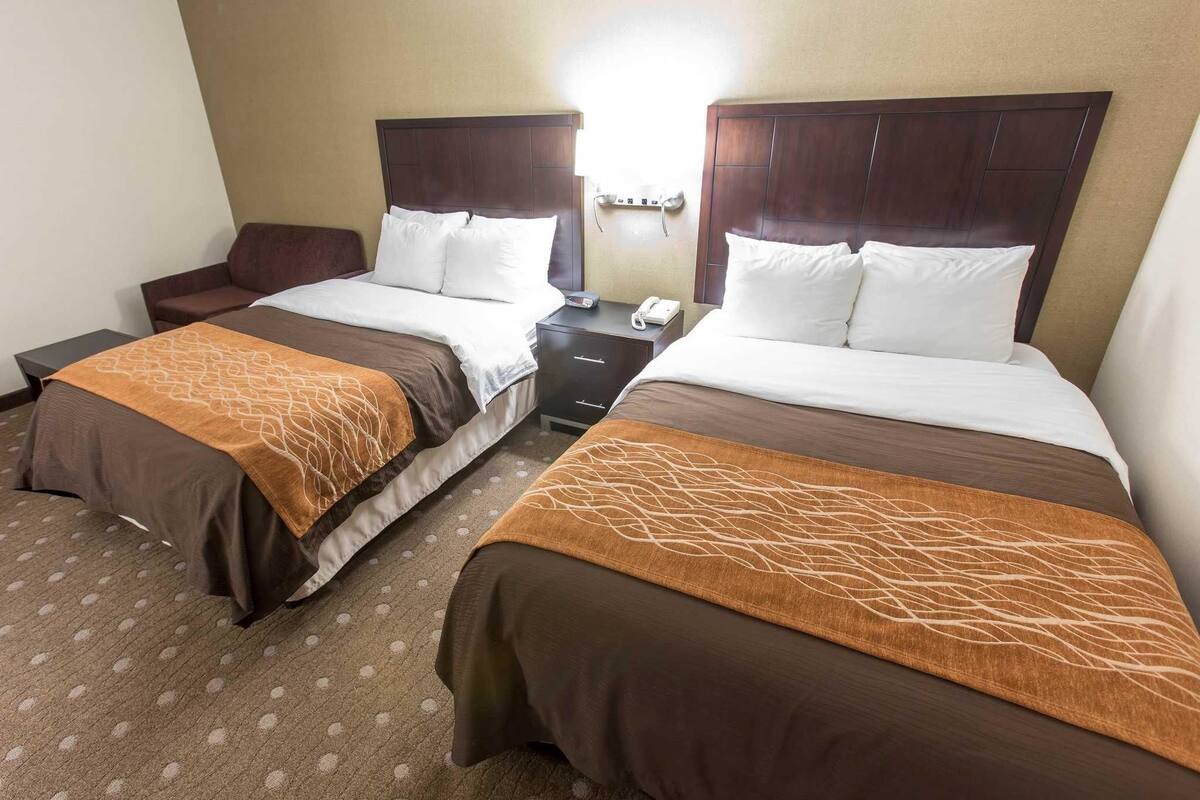 A hotel room with two beds, each with a brown bedspread and white pillows. There is a nightstand with a phone and a lamp between the beds.