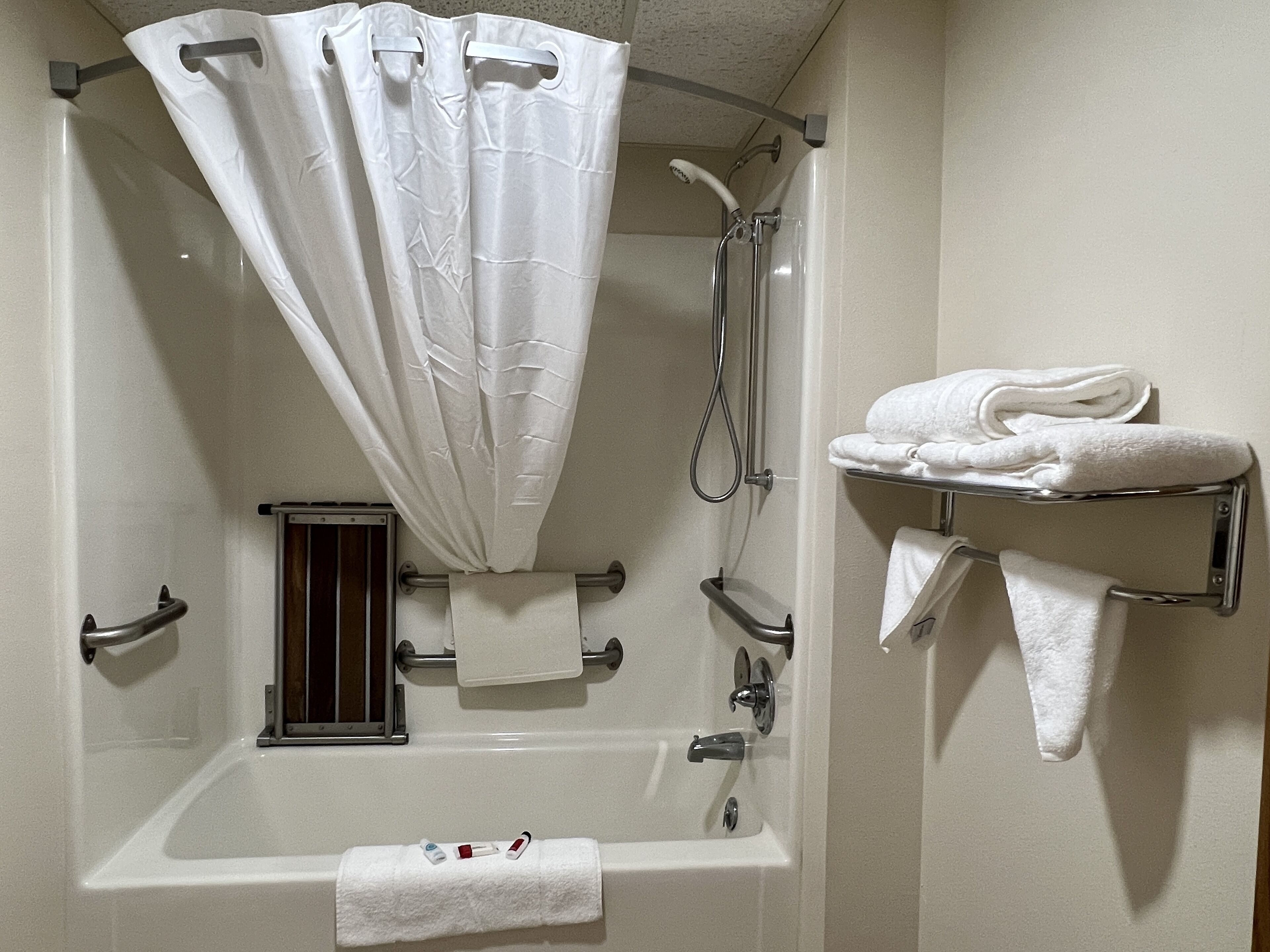 combined shower/bathtub, free toiletries, hair dryer, towels