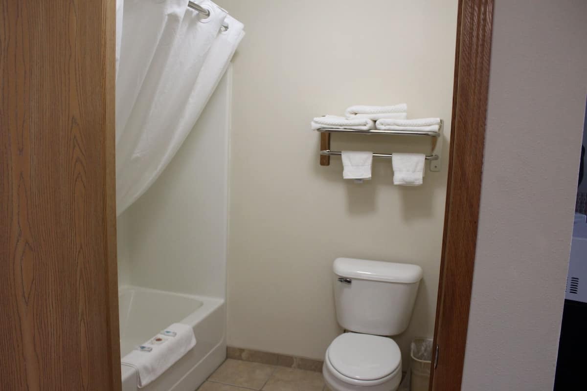 Badkar/dusch, gratis toalettartiklar, hårtork och handdukar