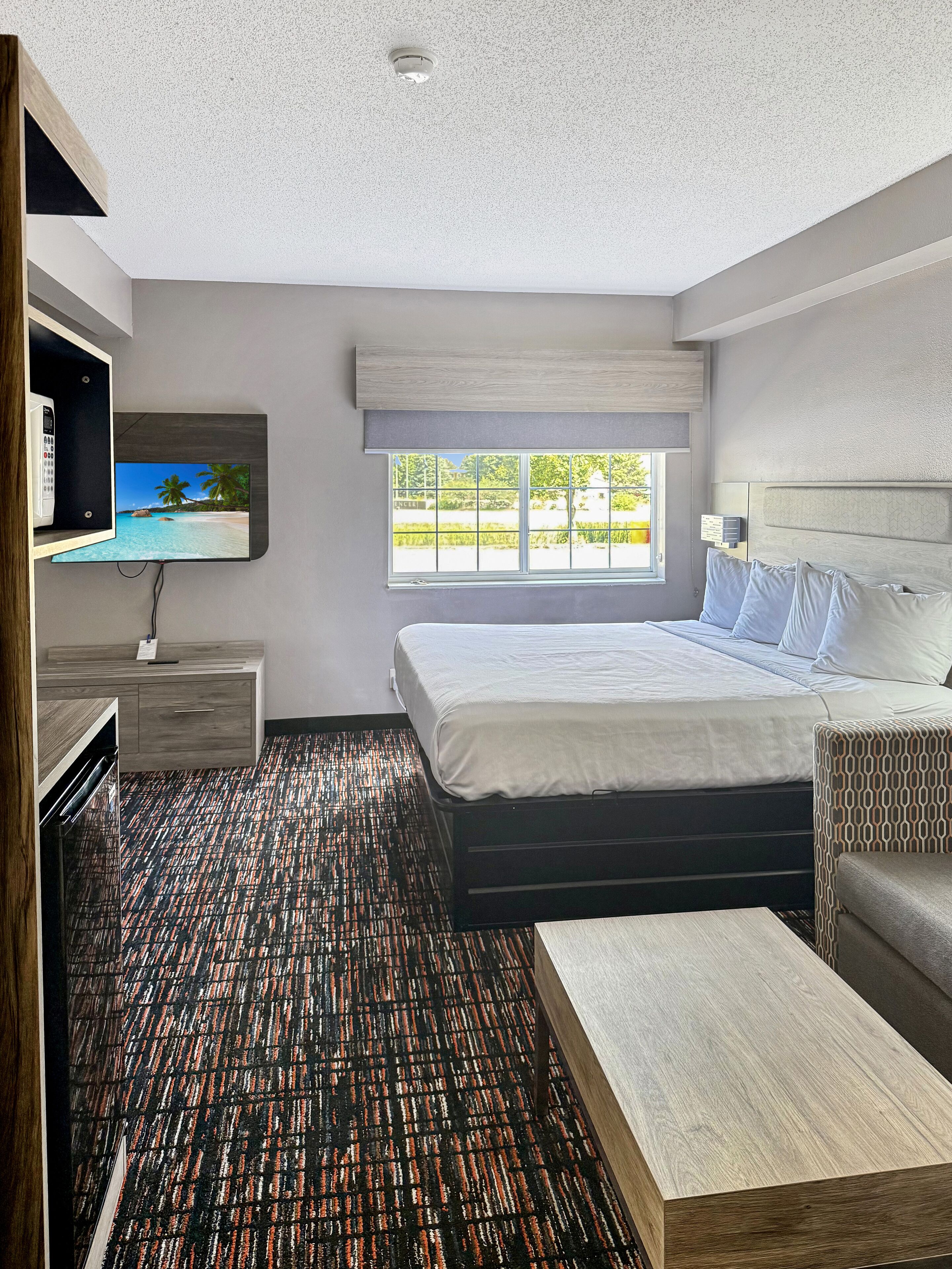 Habitación de hotel con una cama, un televisor montado en la pared, una ventana con vista a zonas verdes y una alfombra estampada.