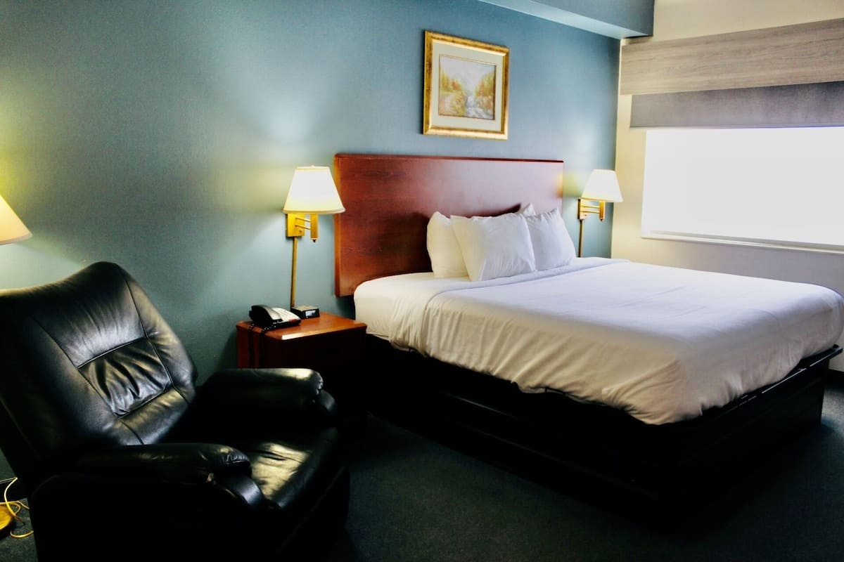 Room, 1 King Bed, Non Smoking | 1 bedroom, premium bedding, desk, blackout drapes