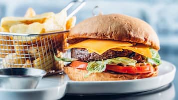 A burger with fries on a plate.