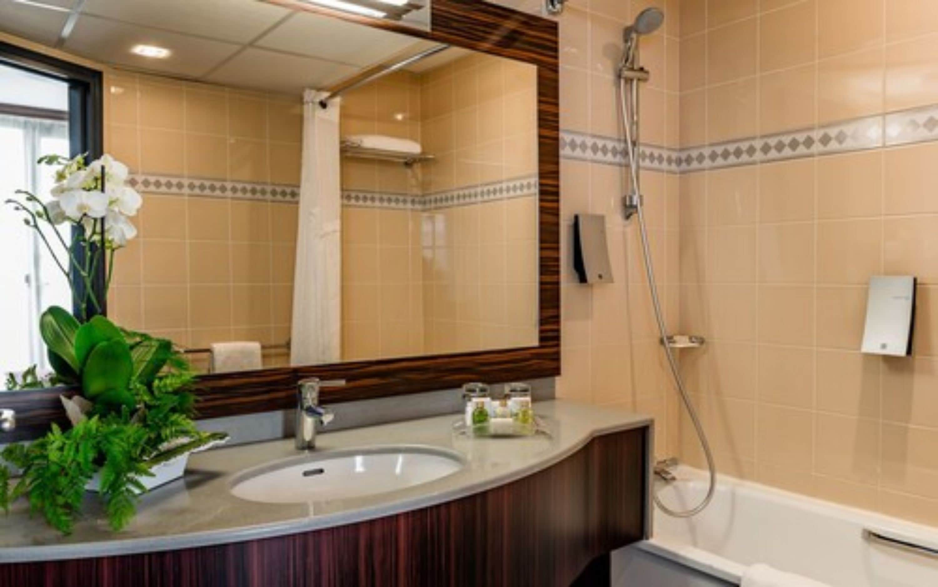 deep-soaking bathtub, rainfall showerhead, free toiletries, hair dryer