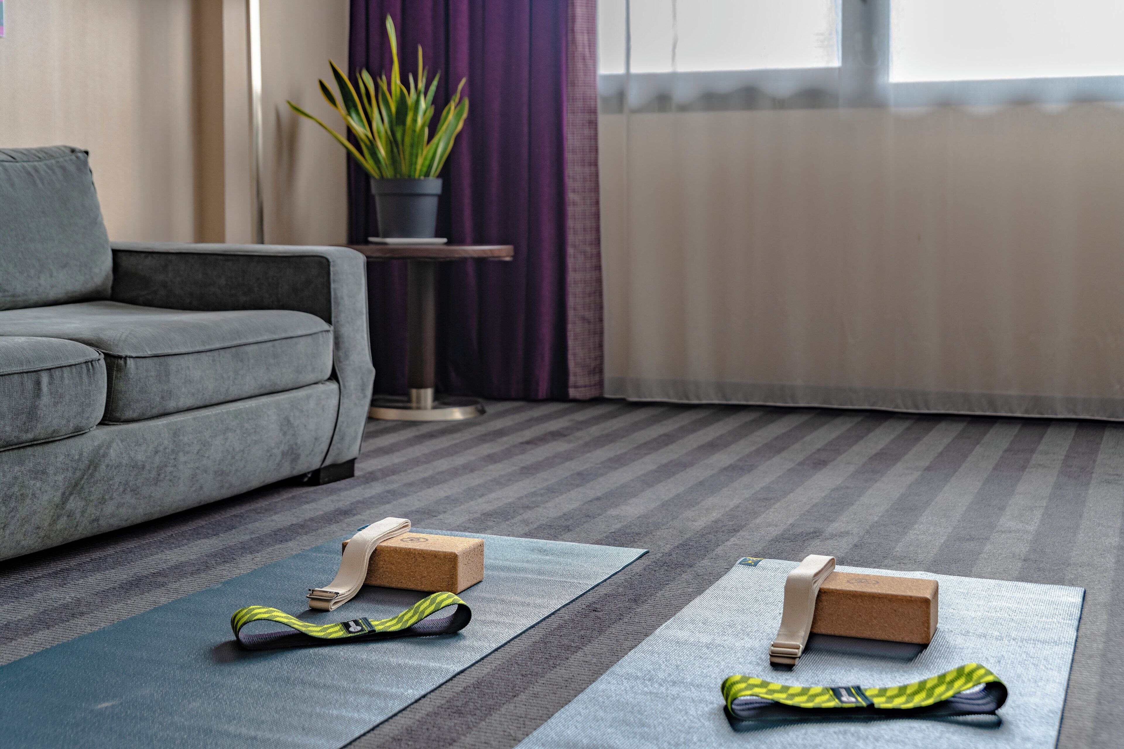 1 Schlafzimmer, Allergikerbettwaren, kostenlose Minibar, Zimmersafe