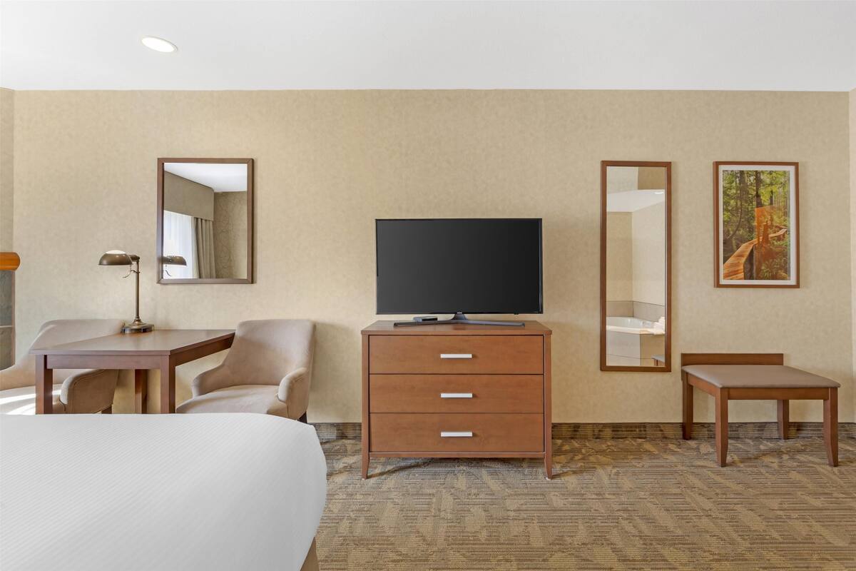 standard room, 1 king bed, non smoking, balcony (2nd floor;no pets in room type) | pillow-top beds, desk, laptop workspace, blackout curtains