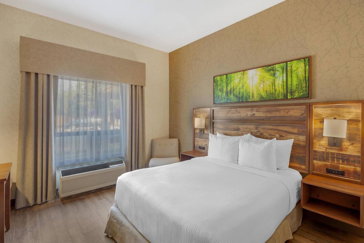 A hotel room with a large bed, a headboard with a wooden panel, a painting of a forest, a chair, a nightstand with a lamp, and a window with curtains.